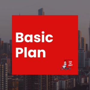 Basic Plan